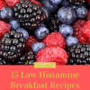 15 Low Histamine Recipes